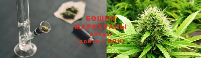 купить  сайты  Бежецк  Марихуана индика 